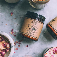 Chaga powder dissolving into hot tea with Anima Mundi branding.