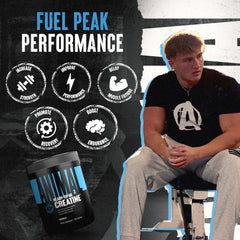 Open bottle of Animal Creatine Capsules ready for pre- or post-workout use.