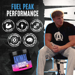 Animal Creatine Chews with AstraGin for optimized absorption during workouts.