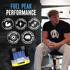 Animal Creatine Chews Lemon Ice chews resting on a gym mat for on-the-go convenience.