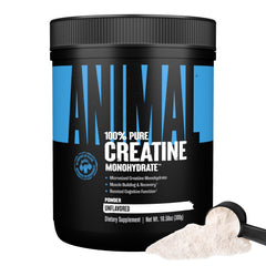 Animal Creatine Monohydrate powder bottle boosts strength for tough workouts.