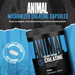 Close-up of Animal packaging signals trusted quality and potency for workouts.
