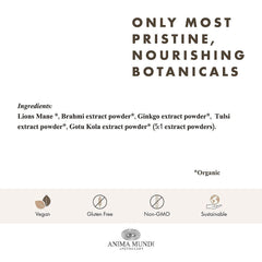Anima Mundi Brain Tonic ingredients with Lion's Mane and Ginkgo highlighted for focus
