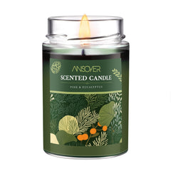 ANSOYER Pine & Eucalyptus soy candle in a glass jar for long-lasting home fragrance.