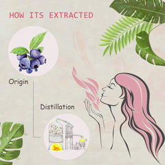 AOPING Blueberry essential oil diffuser in room, showcasing bright berry aroma for fresh ambiance.