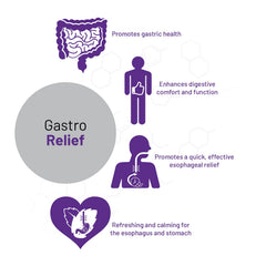 AOR Gastro Relief capsules on a table suggesting daily digestive comfort