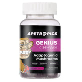 Apetropics Genius Chews berry gummy close-up for focused thinking