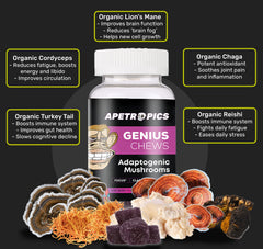 Apetropics Genius Chews bottle opened showing gummies ready for daily use