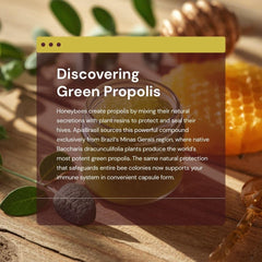 ApisBrasil Green Propolis packaging emphasizes authentic sourcing and quality.