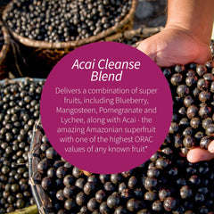 Applied Nutrition Acai Cleanse bottle close-up highlighting capsules for daily use.