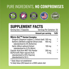 Illustration depicting Approved Science Siboprin supporting gut balance and comfort.