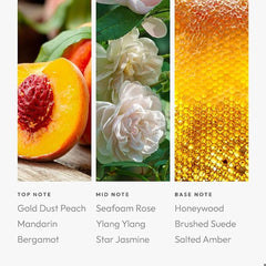 Aroma360 Pro Pod eco-friendly packaging highlights vegan, cruelty-free science
