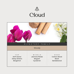 AROMAPLAN Cloud room scent evokes hotel lobby calm for spa-like ambiance.