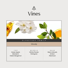 AROMAPLAN Vines apple-mandarin burst brightens kitchens and living areas.
