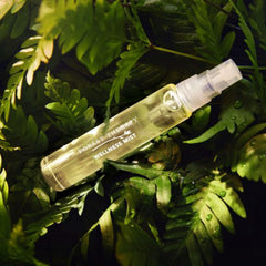Close-up of Forest Therapy Wellness Mist bottle showing essential oil blend