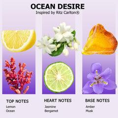 AROMELY Ocean Desire diffuser bottle in a cozy lounge for hotel-like sophistication