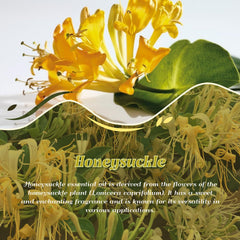 ARVIDSSON Honeysuckle oil for candle making with floral scent.