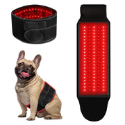 Asenei red light therapy belt dual-wavelength in use for dog joint comfort.