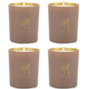 ASOEOSA cotton scented candle jar with gold foil detail enhances elegant decor