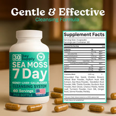Atlantic Naturals Sea Moss Capsules daily-dosing view for easy routines.