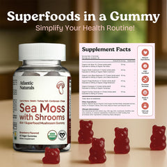 Atlantic Naturals Sea Moss Gummies ingredients panel, highlighting Reishi, Cordyceps, and Lion's Mane.