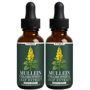 Awtse ETHALE Mullein Drops bottle close-up showing natural lung support