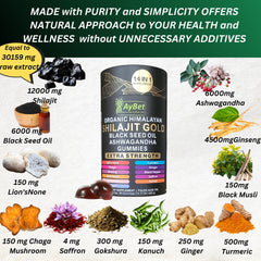 AyBet Shilajit Gold Gummies on a plate for daily energy