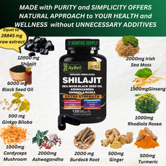 AyBet shilajit capsules bottle highlighting 15-in-1 wellness formula