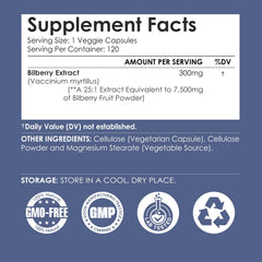 Ayorish Bilberry Extract Capsules label shows vegetarian, non-GMO, gluten-free features for clean choices.