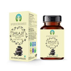 AYURVEDASHREE Shilajit 1000mg bottle for daily energy support