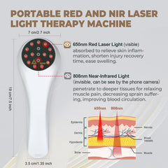 Azilaser cat paw during laser treatment for inflammation support.