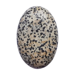 Bacatgem Speckle Dalmation oval palm stone for relaxation and mindfulness.