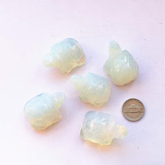 Bacatgem tortoise gift packaging image with ready-to-gift presentation.