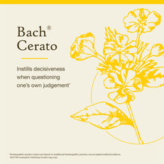 Closeup of Bach Cerato label reflecting the flower essence heritage.