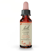 Bach Cherry Plum remedy bottle on a calm shelf for emotional balance.