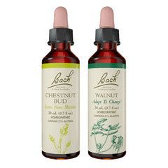 Bach Flower Remedies Chestnut Bud bottle for learning from past mistakes, emotional balance.
