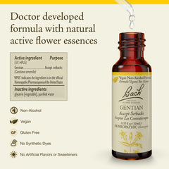 Bach Gentian drops-under-tongue for quick setback coping.