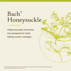 Bach Honeysuckle Remedy label information highlights the flower essence system