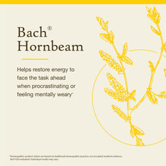 Bach Hornbeam packaging on shelf for a daily routine boost.
