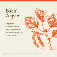 Bach Original Flower Remedies bottles array showcasing 38 essences.