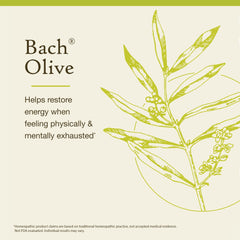Bach Original Olive box on a shelf suggesting everyday emotional balance.