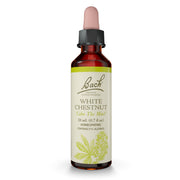 Bach Original White Chestnut bottle on a clean surface for calm focus.