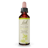 Bach Original Flower Remedies Wild Rose dropper bottle promotes enthusiasm and balance.