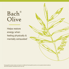 Bach Original Olive bottle label front presents the vegan, gluten-free essence.