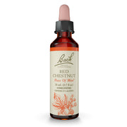 Bach Red Chestnut bottle promotes peace of mind and calm focus.