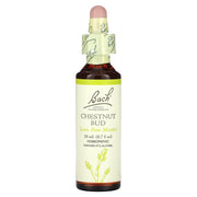 Bach Chestnut Bud con gotero para apoyar aprendizaje emocional diario