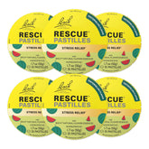 Bach Rescue Pastilles watermelon tin for on-the-go stress relief