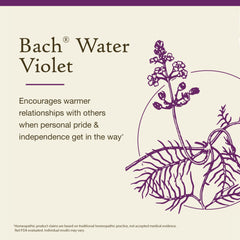 Bach Water Violet packaging box highlighting vegan and gluten-free features.