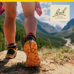 Bach Wild Oat packaging with bottle presents compact travel-friendly design