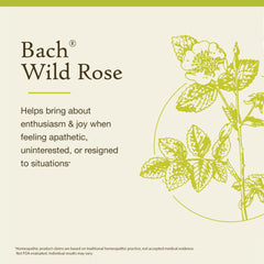 Bach Wild Rose label highlights vegan, gluten-free, sugar-free formulation.